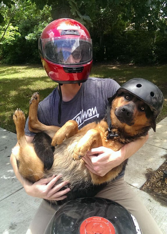 Người đàn ông đội mũ bảo hiểm đỏ bế chú chó Rottweiler đội mũ bảo hiểm đen đi xe máy