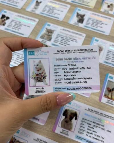 Mẫu thẻ căn cước và hộ chiếu cho thú cưng chó mèo