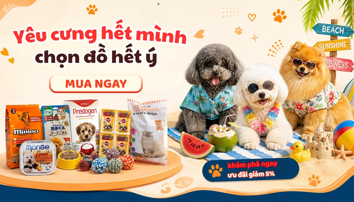 Banner khuyến mãi phụ kiện và thức ăn thú cưng tại VigoPet với hình ảnh ba chú chó đi biển