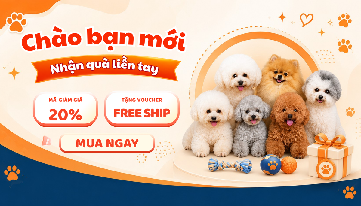 Banner ưu đãi chào bạn mới với mã giảm giá 20% và voucher free ship cùng đàn chó Poodle, Phốc Sóc