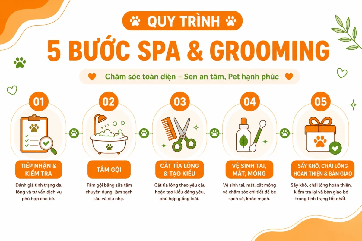 quy trình spa grooming